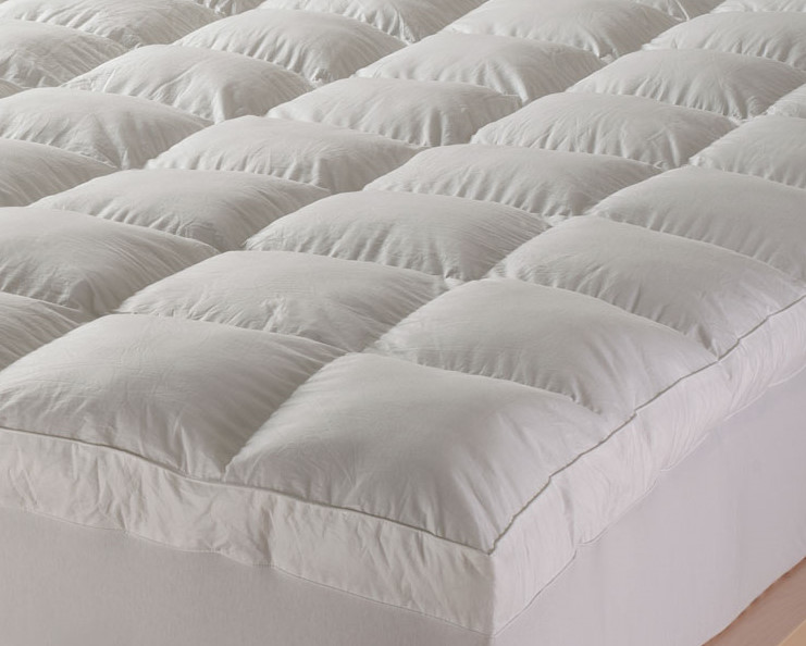 PREMIUM PILLOW PROTECTOR category