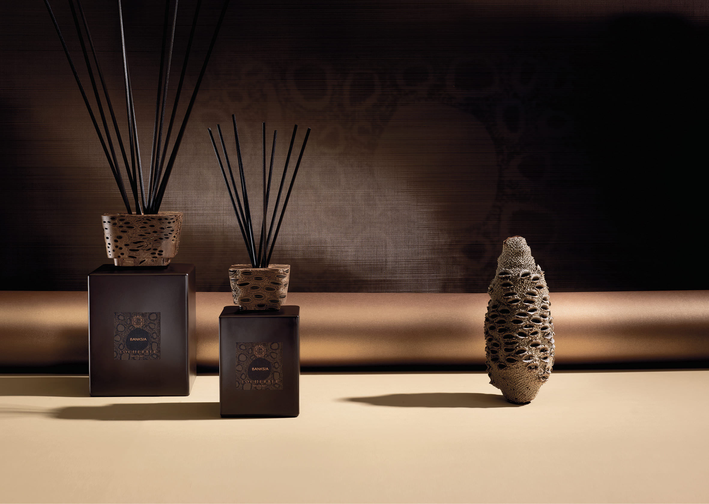 Banksia